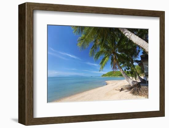 Palm Trees Overhanging Bangrak Beach, Koh Samui, Thailand, Southeast Asia, Asia-Lee Frost-Framed Photographic Print