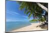 Palm Trees Overhanging Bangrak Beach, Koh Samui, Thailand, Southeast Asia, Asia-Lee Frost-Mounted Photographic Print