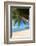 Palm Trees Overhanging Bangrak Beach, Koh Samui, Thailand, Southeast Asia, Asia-Lee Frost-Framed Photographic Print