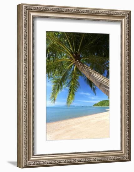 Palm Trees Overhanging Bangrak Beach, Koh Samui, Thailand, Southeast Asia, Asia-Lee Frost-Framed Photographic Print