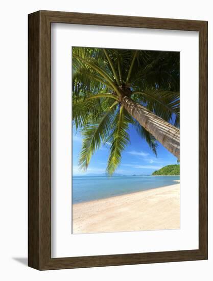 Palm Trees Overhanging Bangrak Beach, Koh Samui, Thailand, Southeast Asia, Asia-Lee Frost-Framed Photographic Print