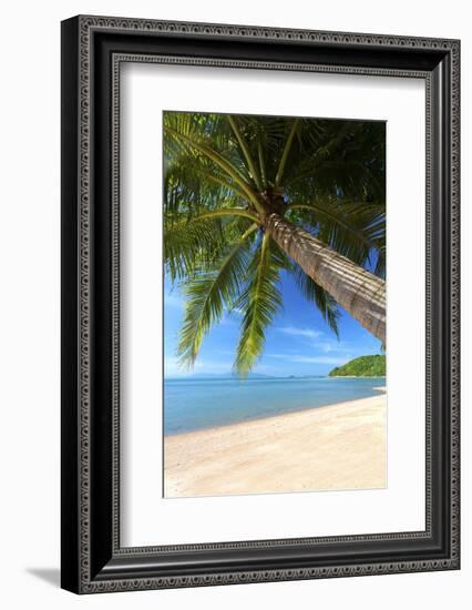 Palm Trees Overhanging Bangrak Beach, Koh Samui, Thailand, Southeast Asia, Asia-Lee Frost-Framed Photographic Print