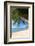 Palm Trees Overhanging Bangrak Beach, Koh Samui, Thailand, Southeast Asia, Asia-Lee Frost-Framed Photographic Print