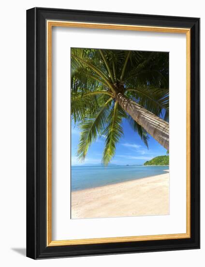 Palm Trees Overhanging Bangrak Beach, Koh Samui, Thailand, Southeast Asia, Asia-Lee Frost-Framed Photographic Print