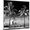 Palm Trees overlooking Downtown Miami - Florida-Philippe Hugonnard-Mounted Photographic Print