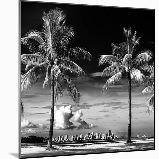 Palm Trees overlooking Downtown Miami - Florida-Philippe Hugonnard-Mounted Photographic Print