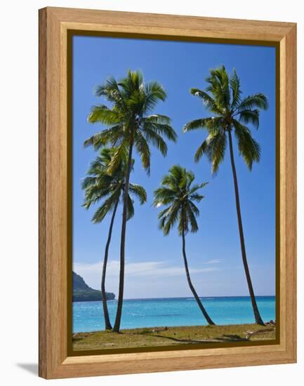 Palm Trees, Port Orly, Island of Espiritu Santo, Vanuatu, South Pacific, Pacific-Michael Runkel-Framed Premier Image Canvas