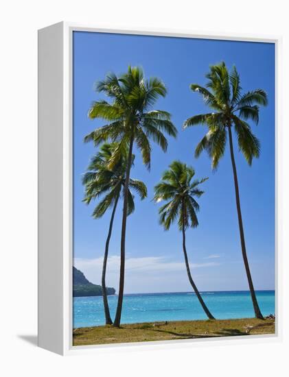 Palm Trees, Port Orly, Island of Espiritu Santo, Vanuatu, South Pacific, Pacific-Michael Runkel-Framed Premier Image Canvas