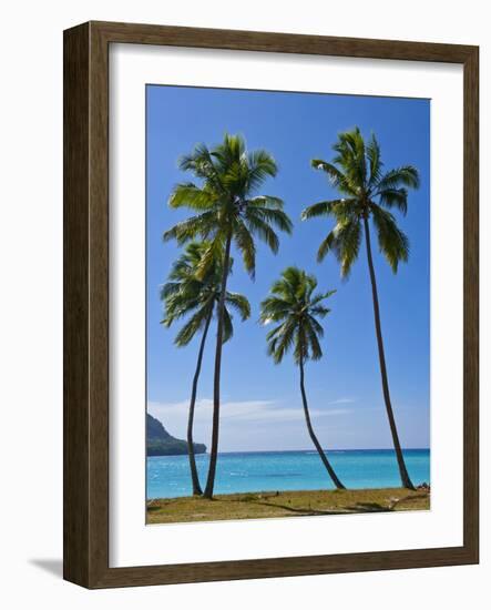 Palm Trees, Port Orly, Island of Espiritu Santo, Vanuatu, South Pacific, Pacific-Michael Runkel-Framed Photographic Print