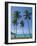 Palm Trees, Port Orly, Island of Espiritu Santo, Vanuatu, South Pacific, Pacific-Michael Runkel-Framed Photographic Print