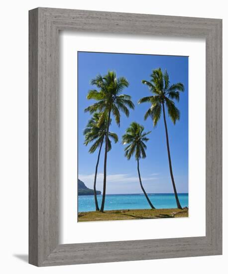 Palm Trees, Port Orly, Island of Espiritu Santo, Vanuatu, South Pacific, Pacific-Michael Runkel-Framed Photographic Print