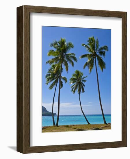 Palm Trees, Port Orly, Island of Espiritu Santo, Vanuatu, South Pacific, Pacific-Michael Runkel-Framed Photographic Print