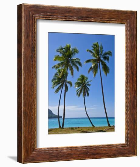 Palm Trees, Port Orly, Island of Espiritu Santo, Vanuatu, South Pacific, Pacific-Michael Runkel-Framed Photographic Print