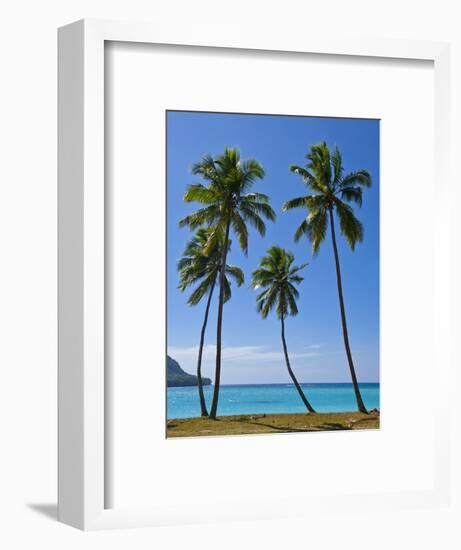 Palm Trees, Port Orly, Island of Espiritu Santo, Vanuatu, South Pacific, Pacific-Michael Runkel-Framed Photographic Print