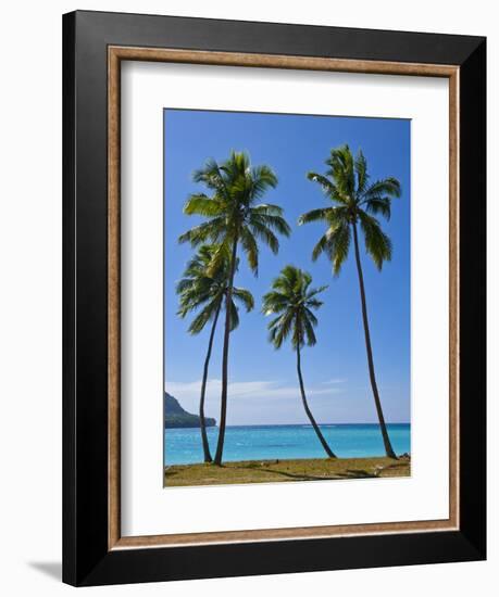 Palm Trees, Port Orly, Island of Espiritu Santo, Vanuatu, South Pacific, Pacific-Michael Runkel-Framed Photographic Print