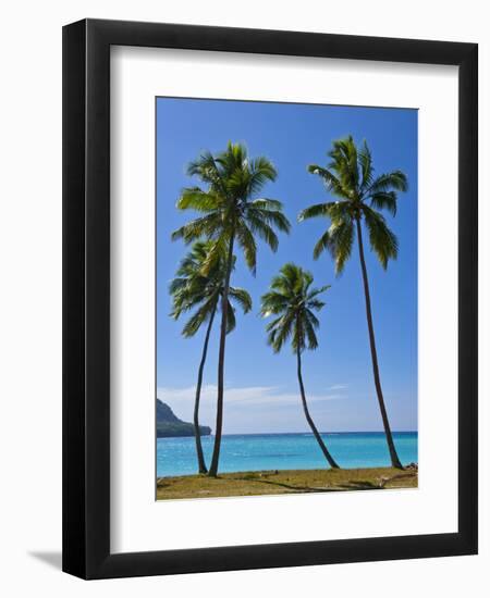 Palm Trees, Port Orly, Island of Espiritu Santo, Vanuatu, South Pacific, Pacific-Michael Runkel-Framed Photographic Print