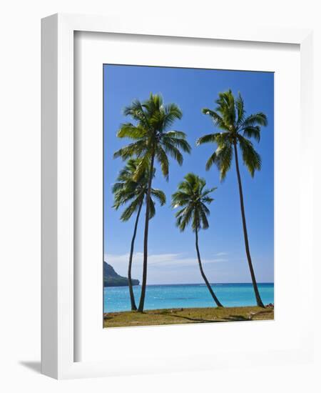 Palm Trees, Port Orly, Island of Espiritu Santo, Vanuatu, South Pacific, Pacific-Michael Runkel-Framed Photographic Print