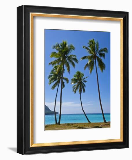 Palm Trees, Port Orly, Island of Espiritu Santo, Vanuatu, South Pacific, Pacific-Michael Runkel-Framed Photographic Print