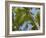 Palm Trees, Punta Cana, Dominican Republic, West Indies, Caribbean, Central America-Frank Fell-Framed Photographic Print