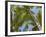 Palm Trees, Punta Cana, Dominican Republic, West Indies, Caribbean, Central America-Frank Fell-Framed Photographic Print