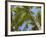 Palm Trees, Punta Cana, Dominican Republic, West Indies, Caribbean, Central America-Frank Fell-Framed Photographic Print