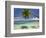 Palm Trees, Shangri-La Fijian Resort, Yanuca Island, Coral Coast, Viti Levu, Fiji, South Pacific-David Wall-Framed Photographic Print