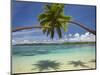 Palm Trees, Shangri-La Fijian Resort, Yanuca Island, Coral Coast, Viti Levu, Fiji, South Pacific-David Wall-Mounted Photographic Print