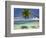 Palm Trees, Shangri-La Fijian Resort, Yanuca Island, Coral Coast, Viti Levu, Fiji, South Pacific-David Wall-Framed Premium Photographic Print