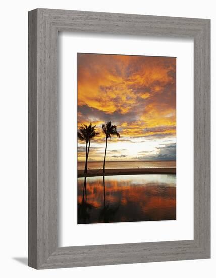 Palm trees silhouetted against red clouds during sunset over a beach at Flic en Flac-Stuart Forster-Framed Photographic Print