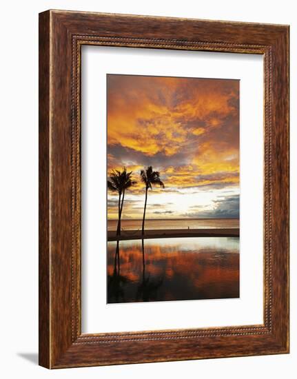 Palm trees silhouetted against red clouds during sunset over a beach at Flic en Flac-Stuart Forster-Framed Photographic Print