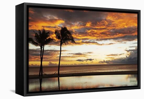 Palm trees silhouetted against red clouds during sunset over a beach at Flic en Flac-Stuart Forster-Framed Premier Image Canvas