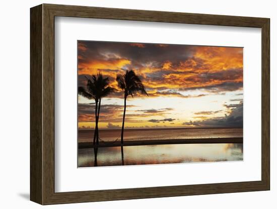 Palm trees silhouetted against red clouds during sunset over a beach at Flic en Flac-Stuart Forster-Framed Photographic Print