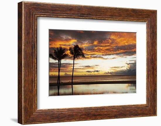 Palm trees silhouetted against red clouds during sunset over a beach at Flic en Flac-Stuart Forster-Framed Photographic Print