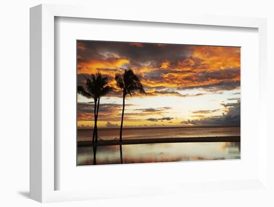 Palm trees silhouetted against red clouds during sunset over a beach at Flic en Flac-Stuart Forster-Framed Photographic Print