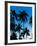 Palm Trees Silhouetted at Night, Sengiggi Beach, Lombok, Indonesia, Southeast Asia, Asia-Matthew Williams-Ellis-Framed Photographic Print