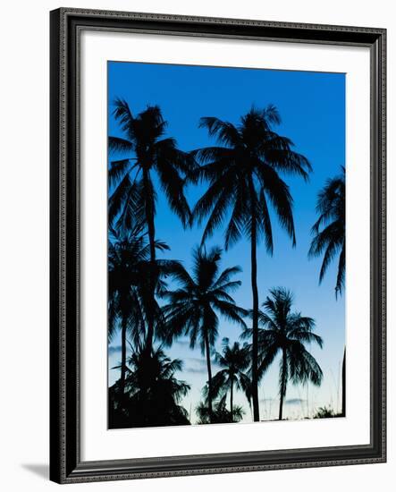 Palm Trees Silhouetted at Night, Sengiggi Beach, Lombok, Indonesia, Southeast Asia, Asia-Matthew Williams-Ellis-Framed Photographic Print