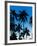 Palm Trees Silhouetted at Night, Sengiggi Beach, Lombok, Indonesia, Southeast Asia, Asia-Matthew Williams-Ellis-Framed Photographic Print