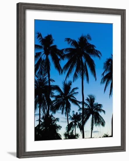 Palm Trees Silhouetted at Night, Sengiggi Beach, Lombok, Indonesia, Southeast Asia, Asia-Matthew Williams-Ellis-Framed Photographic Print