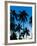 Palm Trees Silhouetted at Night, Sengiggi Beach, Lombok, Indonesia, Southeast Asia, Asia-Matthew Williams-Ellis-Framed Photographic Print