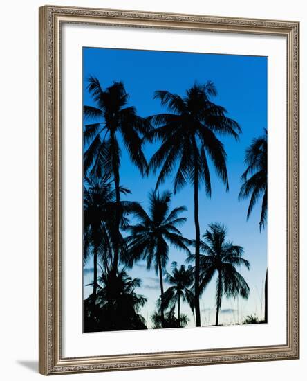 Palm Trees Silhouetted at Night, Sengiggi Beach, Lombok, Indonesia, Southeast Asia, Asia-Matthew Williams-Ellis-Framed Photographic Print