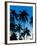 Palm Trees Silhouetted at Night, Sengiggi Beach, Lombok, Indonesia, Southeast Asia, Asia-Matthew Williams-Ellis-Framed Photographic Print