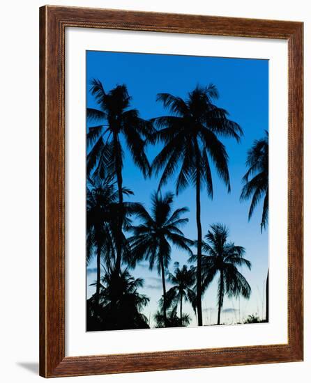 Palm Trees Silhouetted at Night, Sengiggi Beach, Lombok, Indonesia, Southeast Asia, Asia-Matthew Williams-Ellis-Framed Photographic Print