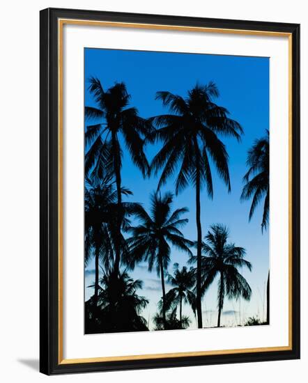 Palm Trees Silhouetted at Night, Sengiggi Beach, Lombok, Indonesia, Southeast Asia, Asia-Matthew Williams-Ellis-Framed Photographic Print