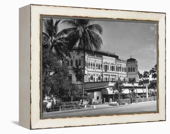 Palm Trees Surrounding the Raffles Hotel-Carl Mydans-Framed Premier Image Canvas