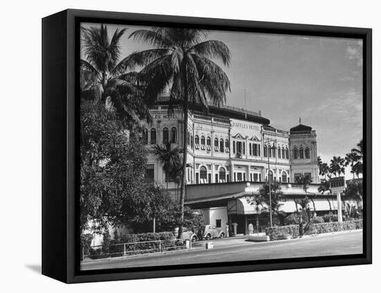 Palm Trees Surrounding the Raffles Hotel-Carl Mydans-Framed Premier Image Canvas