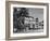 Palm Trees Surrounding the Raffles Hotel-Carl Mydans-Framed Photographic Print