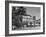 Palm Trees Surrounding the Raffles Hotel-Carl Mydans-Framed Photographic Print