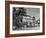 Palm Trees Surrounding the Raffles Hotel-Carl Mydans-Framed Photographic Print