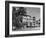 Palm Trees Surrounding the Raffles Hotel-Carl Mydans-Framed Photographic Print