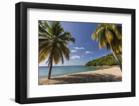 Palm Trees Thrive on the Beautiful Beach of Hawksbill, Antigua, Leeward Islands, West Indies-Roberto Moiola-Framed Photographic Print